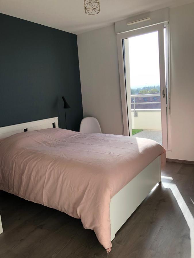 La Terrasse Apartment Страсбург Екстериор снимка